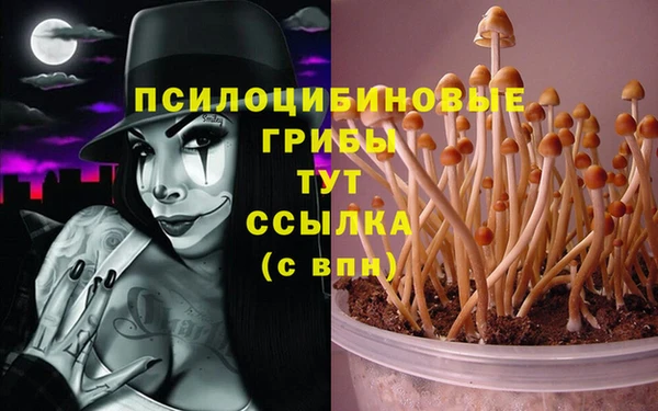 прущая мука Баксан